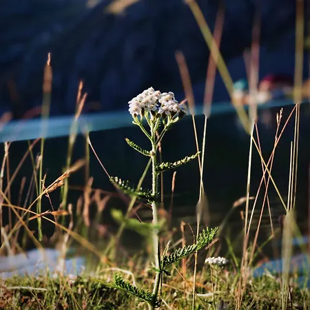 Kapetanovo Jezero Bungalov