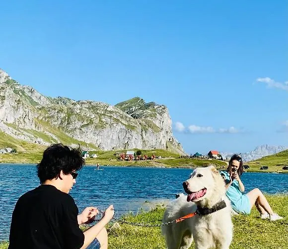 Bed and breakfast Kapetanovo Jezero Bungalov Podgorica