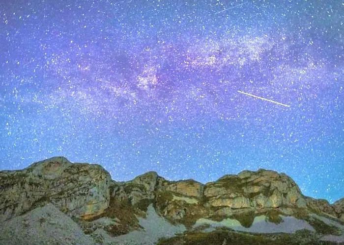 Kapetanovo Jezero Bungalov *