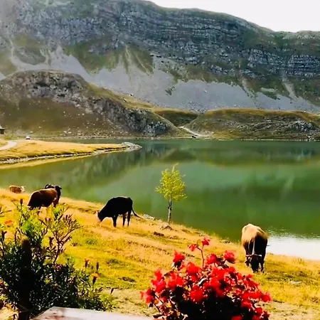 Kapetanovo Jezero Bungalov *