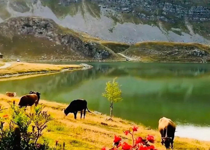 Kapetanovo Jezero Bungalov *